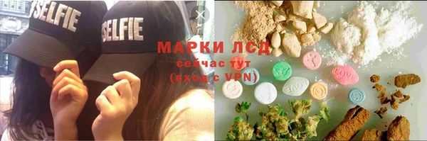 трава Абаза