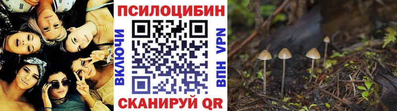 Галлюциногенные грибы ЛСД  Торопец 